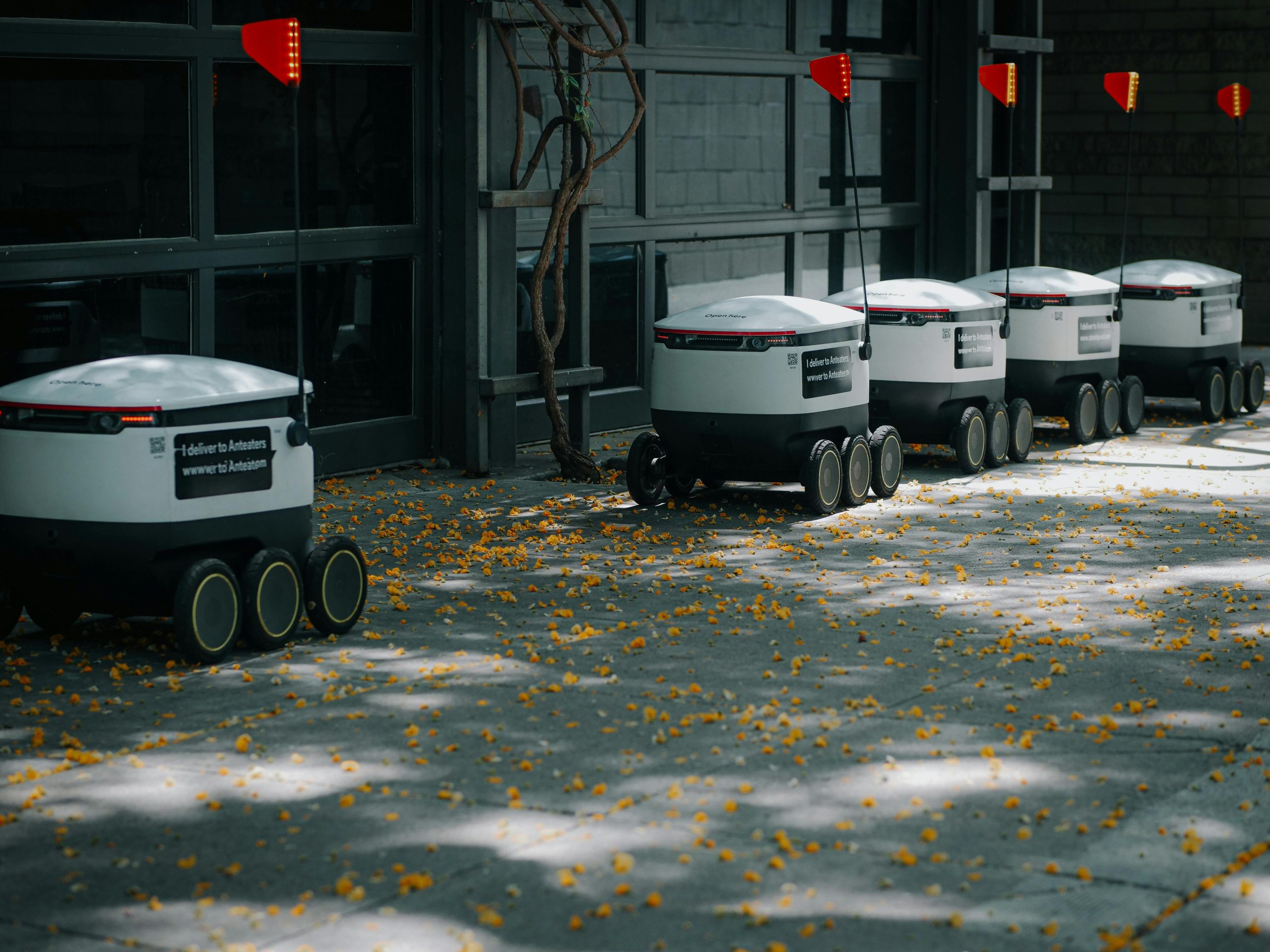 Autonomous delivery robots lined up outdoors showcasing modern transportation technology innovations.